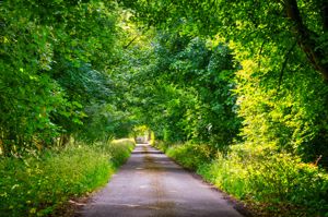 Approach to Property - click for photo gallery